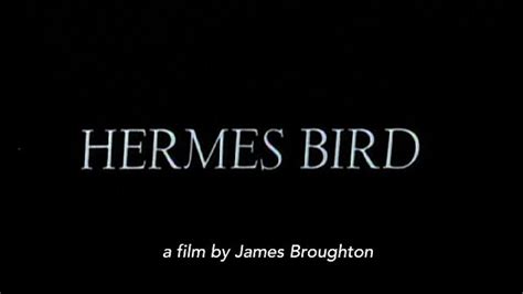 hermes bird full movie online|Hermes Bird (movie, 1979) .